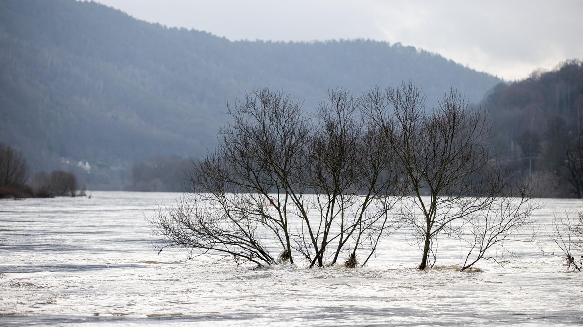 V Česku stouply hladiny řek. Zvedat se mohou do úterního rána